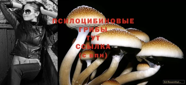 гашиш Зеленодольск